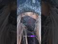 это Башкирия! тут бывает до -40° и более#башкортостан #bashkortostan #россия #shortsviral #lesiaAlph