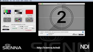 Celebrity Sienna ND SignalGenerator Net Worth