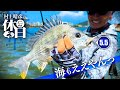 Murakami x River Mouth Bank Fishing] The sea is great! But what