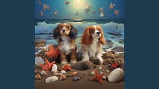 Harmony Underwater and Paws