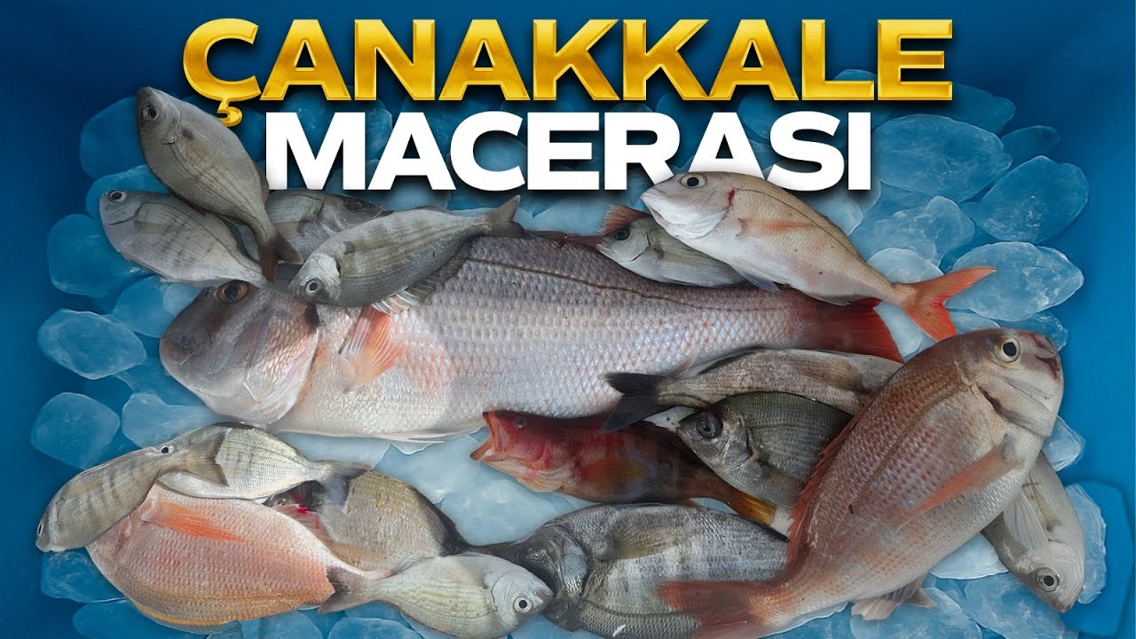 Методы ловли красного морского окуня на 12-метровой лодке: от Стамбула до Чанаккале