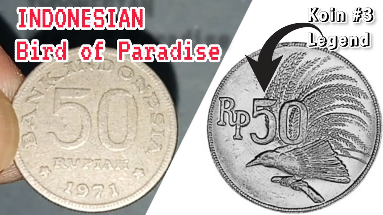 Koin Logam 50 Rupiah 1971 Indonesian Bird of Paradise - YouTube