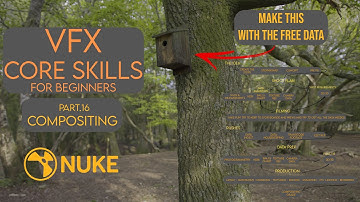 VFX Core Skills - Part 17  - Compositing - Nuke Slap Comp and Distortion Workflow