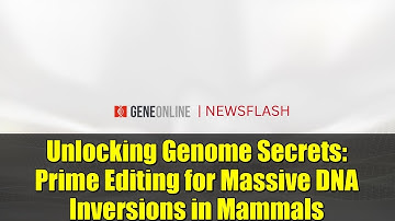Unlocking Genome Secrets: Prime Editing for Massive DNA Inversions in Mammals
