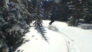 Snowboard Powder Tree Run funny ending