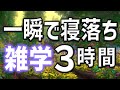 【眠れる男性の声】一瞬で寝落ちを誘う雑学朗読3時間【睡眠用・寝ながら聴ける】