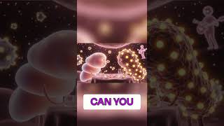 Animated Cells&#39; Romantic Night: Smooth Talk &amp; Protein Production? #shorts