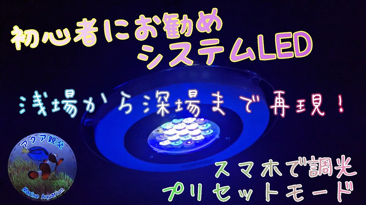 初心者におすすめ照明！ボルクスジャパン グラッシーソーラーリーフ 