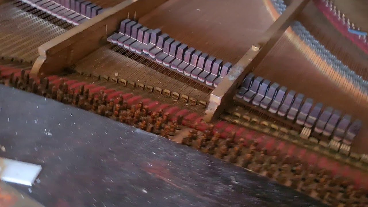 Abandoned straight strung2.70 consert grand piano