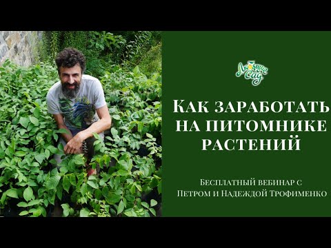 Как заработать на