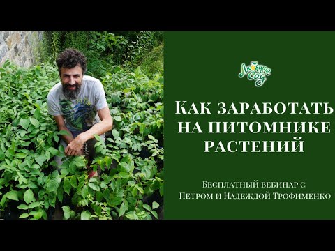 Как заработать на питомнике растений