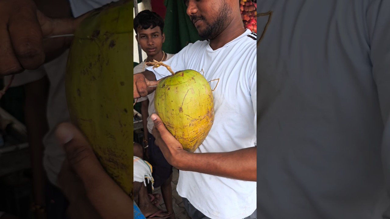 Biggest Coconut Ever ! Ever seen This? Epic Coconut Unboxing Challenge 