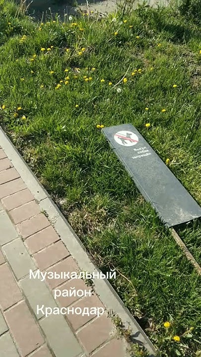 лежит плашмя табличка о запрете выгула собак. да как так? - YouTube