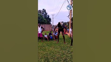 Thumbnail of JERUSALEMA CHALLENGE || MasterKg || Bwengula Circus Kids || #shorts #jerusalema #circus