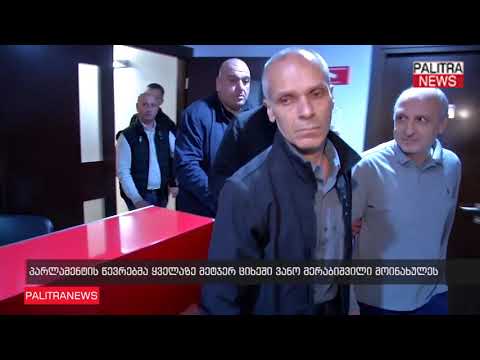 პარლამენტის წევრებმა ყველაზე მეტჯერ ციხეში ვანო მერაბიშვილი მოინახულეს