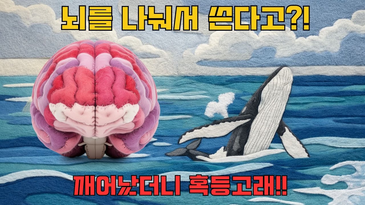 깨어났더니 혹등고래?! 뇌를 반반쓰는게 가능? 버블넷피딩부터 포경산업까지! 한방에 뚝딱!