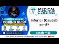 Inferior (Caudal) Directional Terms | Anatomy for Medical coding | medical coding course (Ep-83)