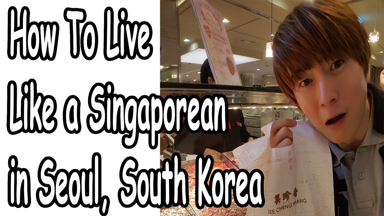 singaporean visit korea