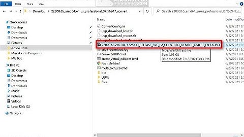 How to Download a Windows 10 or 11 Insider ISO