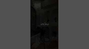 تـلاوة|الـقارئ|رعـد الـكردي|#تلاوة_مميزة#تلاوة_هادئة#تلاوة_خاشعة#قرآن#رعد_الكردي#قران_كريم#quran|