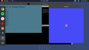 Simple Mover Application for the ROS Turtlesim Node