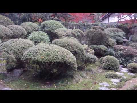安楽寺 京都