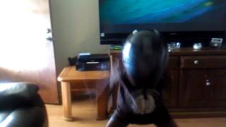 VID_20131026_155646.3gp