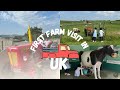 First farm 🐑visit in UK 🌴summer fun 🤩 cow milking 🐄