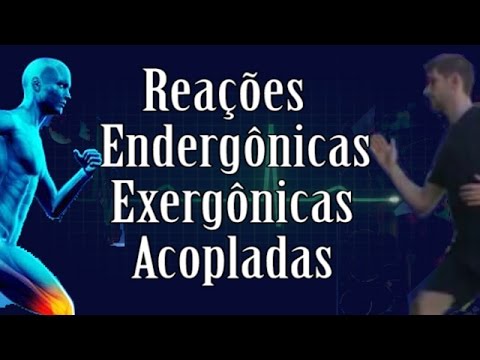 Vídeo: A glicogenólise é exergônica ou endergônica?