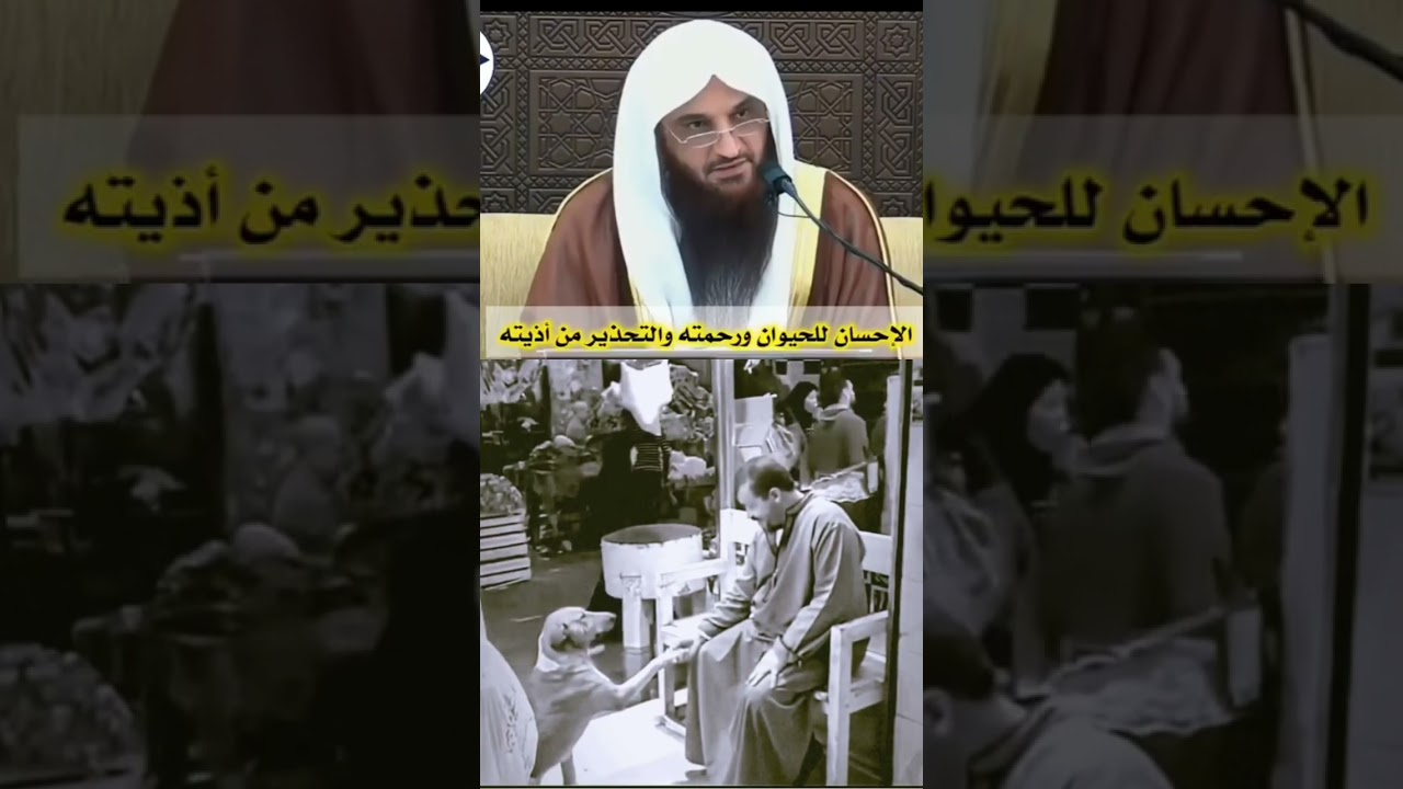 الاحسان الحيوان ورحمته والتحذير من اذيته الشيخ عبد الرزاق البدر حفظه الله