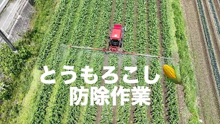 とうもろこし防除 丸山ハイクリBSA-651 CHCNAV NX510 22/6/7 #1356