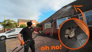 My first time pressure washing a WHOLE roof ended in DISASTER!