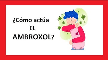 ¿Cómo actúa EL AMBROXOL?