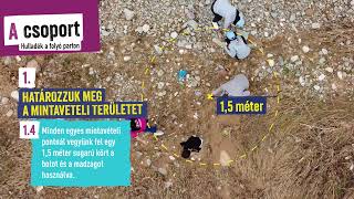 HUN Plastic Pirates A csoport