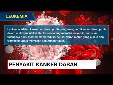 Video: Perbedaan Antara Limfoma Dan Leukemia Dan Mengapa Itu Penting