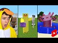 Best of twi shorts   2023 minecraft shorts