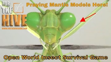 For The Hive Game: Praying Mantis Models