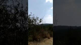 Aydos Orman Yangını Helikopter Ile Söndürme Anı ... Resimi