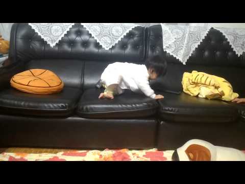 20131208 緹長高了喔!!自己爬上沙發了