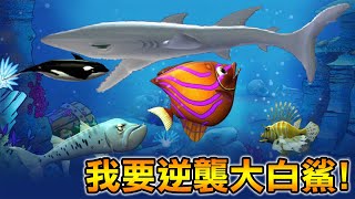 【吞食魚】童年殺時間療癒神作！吃到登上食物鏈的頂端｜Feeding Frenzy screenshot 1