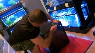 guppy beast how to apply Lowes window film on a fish tank aquarium background