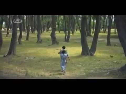 გამახარე,დამაბრუნე!