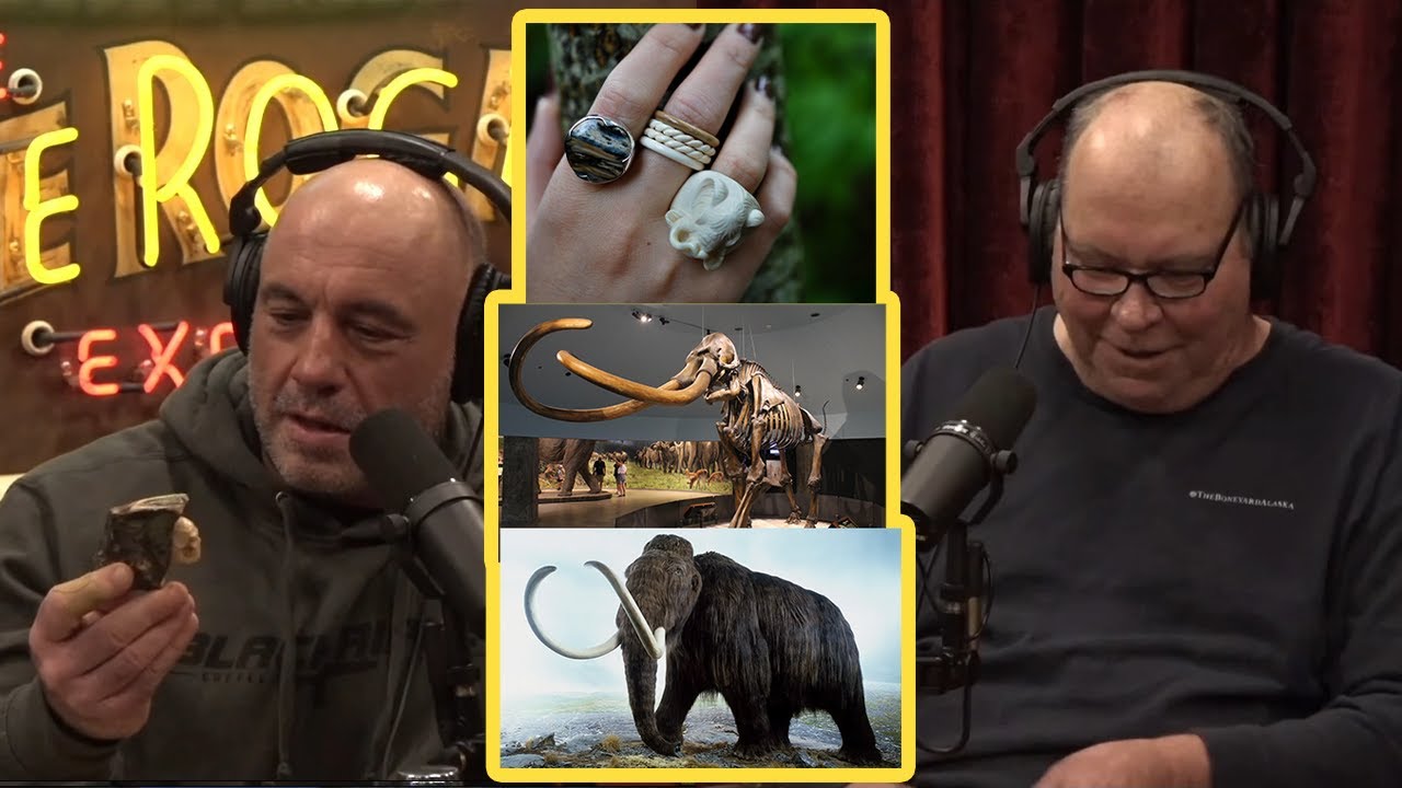 Joe Rogan Gold Miner Finds Mammoth Bones Makes Jewelry Smoking Joe Rogan Gold Miner Finds Mammoth Bones Makes Jewelry Smoking