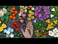 A year of paper quilling flowers