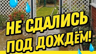 видео: Дача на севере Германии /Субботник обрезка, чистка бассейна.  картинка: Дача на севере Германии /Субботник обрезка, чистка бассейна.