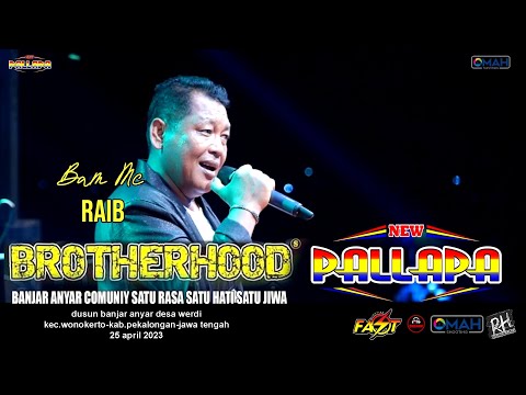 RAIB (BUNGA DESA) - BAMS MC - NEW PALLAPA - LIVE BROTHERHOODS 2023