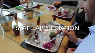 Office Workshops - The Urban Botanist