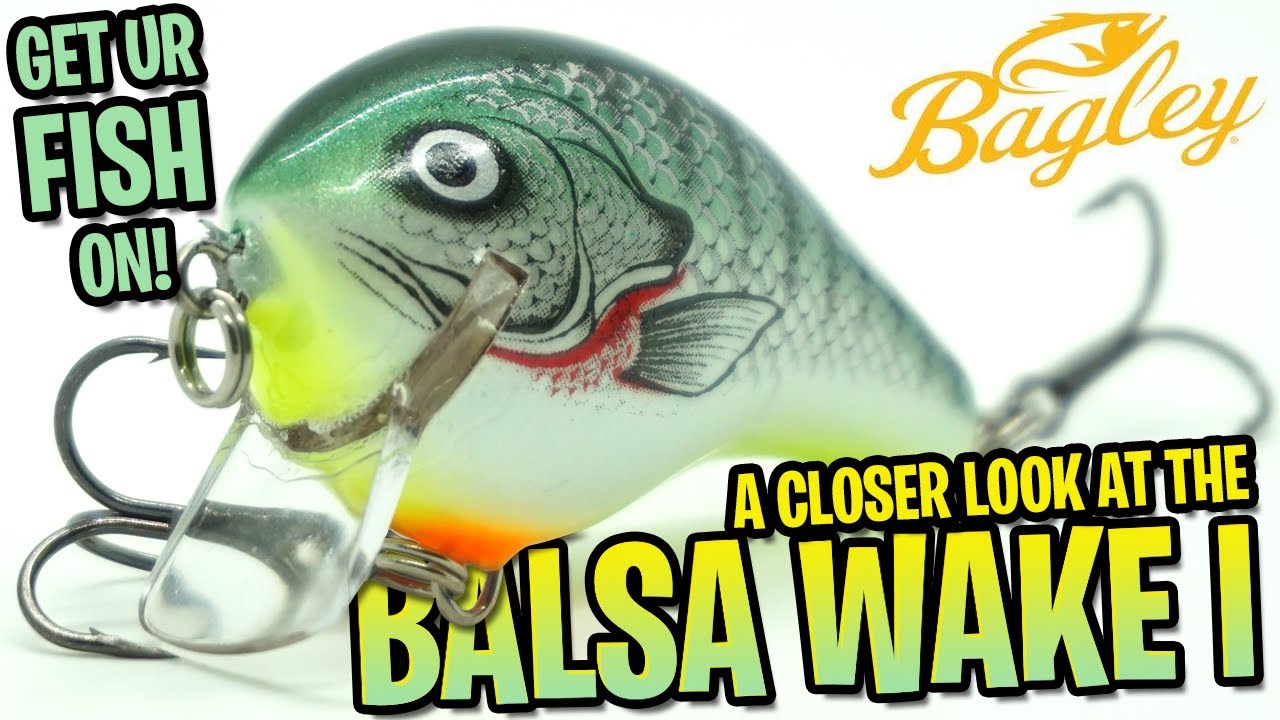 Closer Look at the Bagley Balsa Wake 1 - Shallow Water Crank Bait