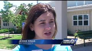 Pets need special protection in summertime heat