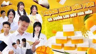 THẠCH XOÀI SỮA TƯƠI VÀ LƯU BÚT CỦA HIẾU | Hai Anh Em Phần 752 | Phim Tình Cảm Hài Hước Gãy Media